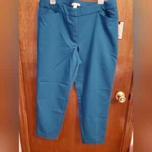 NWT Dana Buchman Deep Teal Blue (Watr Spout)